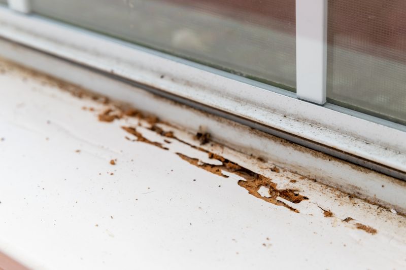 Window Sill Repair